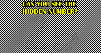 can-you-see-the-hidden-number